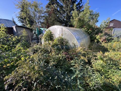 dacha-snt-stroygaz-snt-stroygaz фото