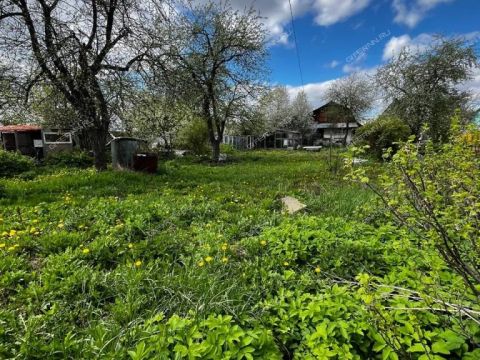 dacha-gorod-balahna-balahninskiy-municipalnyy-okrug фото