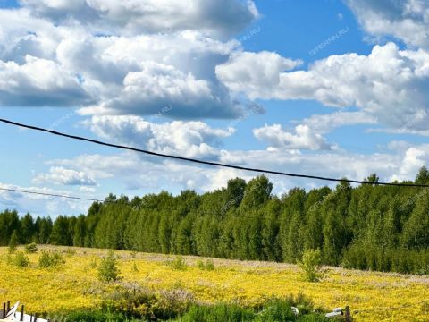 dom-derevnya-omanovo-gorodskoy-okrug-bor фото