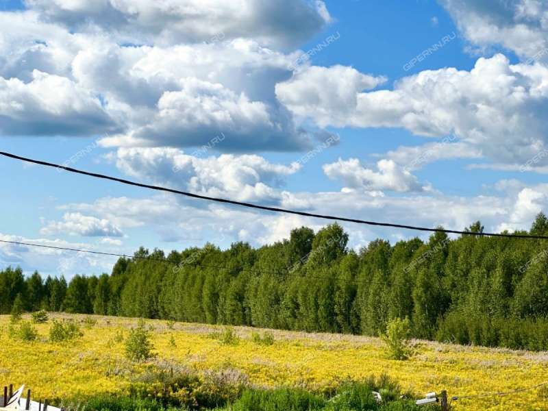 дом на улице Героя Бадина деревня Оманово