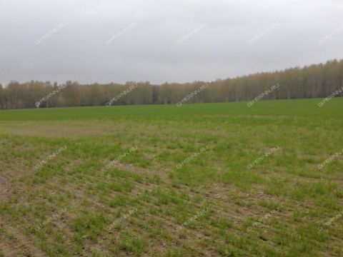derevnya-nepecino-bogorodskiy-municipalnyy-okrug фото
