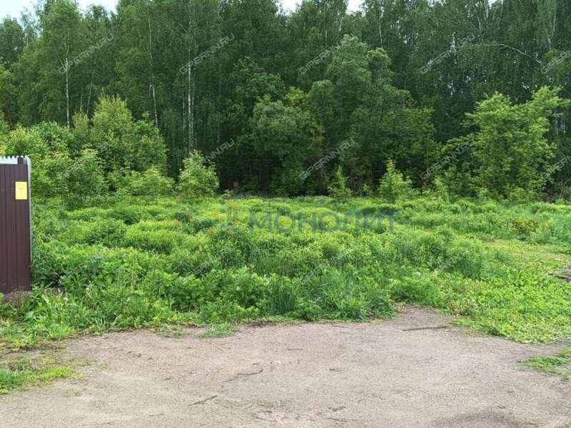 земельный участок 11,65 сотки Центральная улица село Останкино