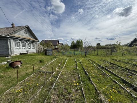 dom-derevnya-sitnikovo-gorodskoy-okrug-bor фото