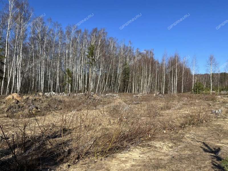 земельный участок под сельхоз назначение в Городецком районе Нижегородской области