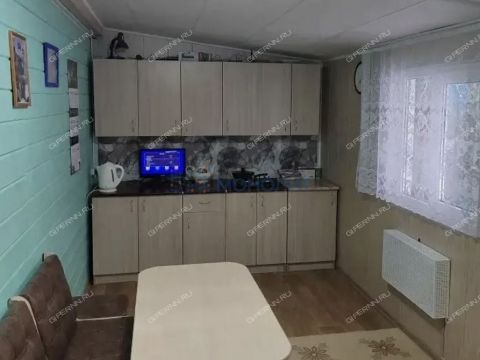 dacha-derevnya-novaya-puner-kstovskiy-rayon фото