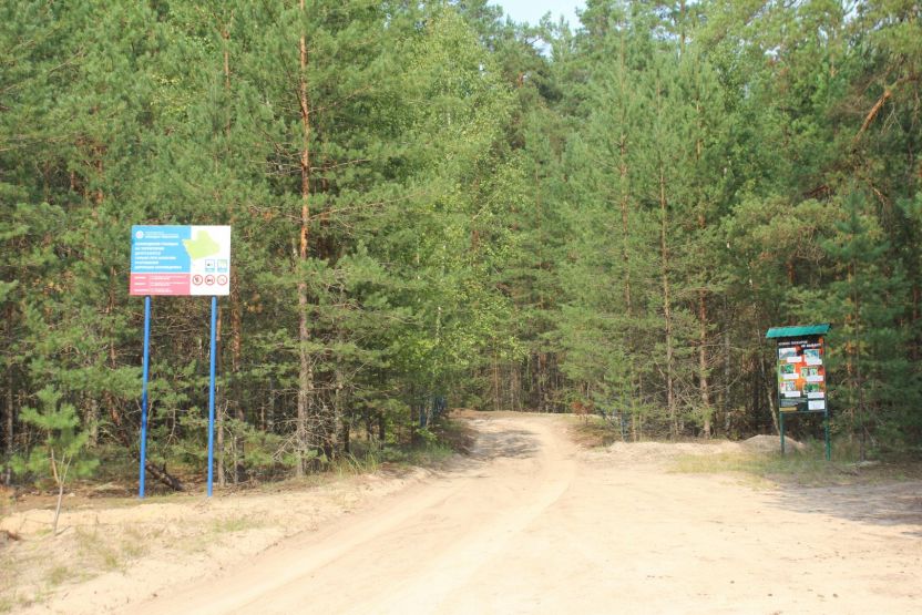 Фото: Ксения Ражева / gipernn.ru