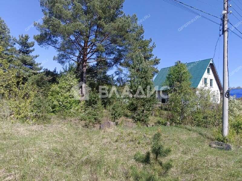 земельный участок 19 соток деревня Рябинки