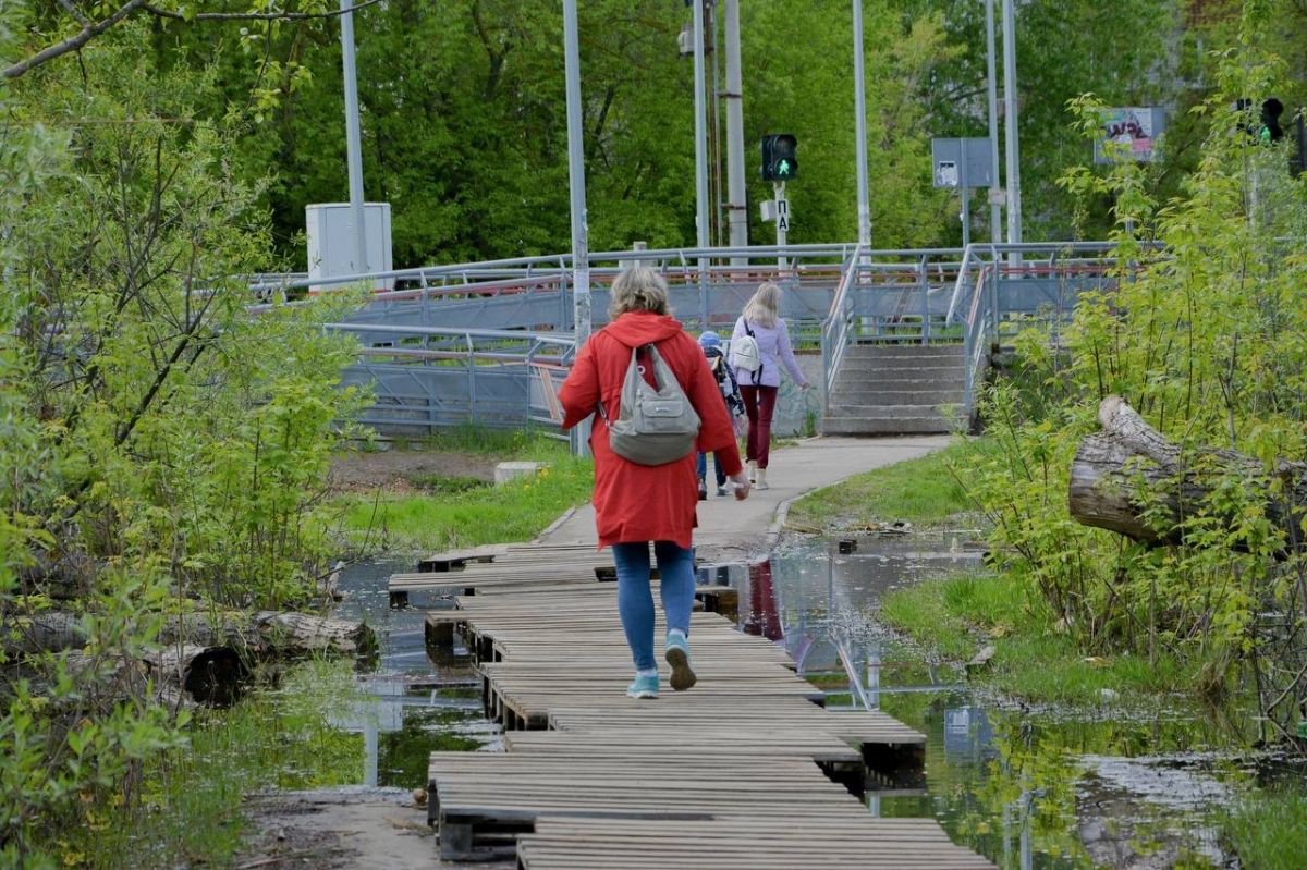 Новый сквер у воды появится на улице Рябцева в Нижнем Новгороде в 2024 году