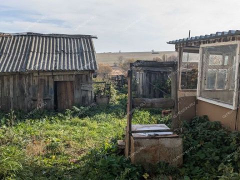 dom-selo-bolshoe-kazarinovo-bolsheboldinskiy-rayon фото