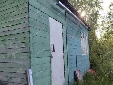 dacha-snt-doz-1-snt-doz-1 фото
