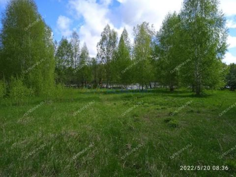 dom-derevnya-nikitkino-gorodskoy-okrug-chkalovsk фото