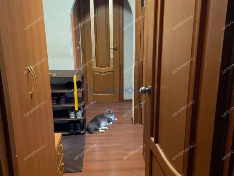 двухкомнатная квартира на Авангардной улице дом 16