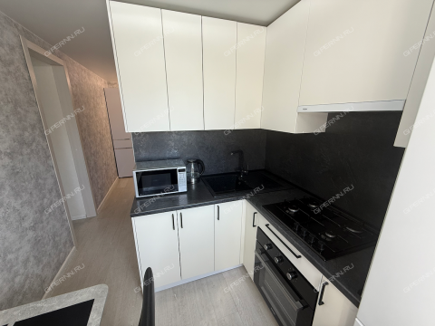 1-komnatnaya-sh-yuzhnoe-d-24a фото