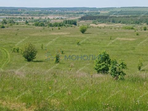 derevnya-starye-klyuchishhi-kstovskiy-rayon фото