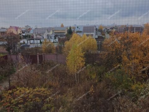kottedzh-derevnya-elevaya-gorodskoy-okrug-bor фото