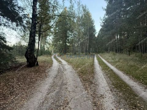 derevnya-mezhuyki-gorodskoy-okrug-bor фото
