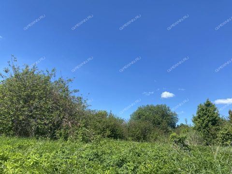 selo-barmino-lyskovskiy-municipalnyy-okrug фото