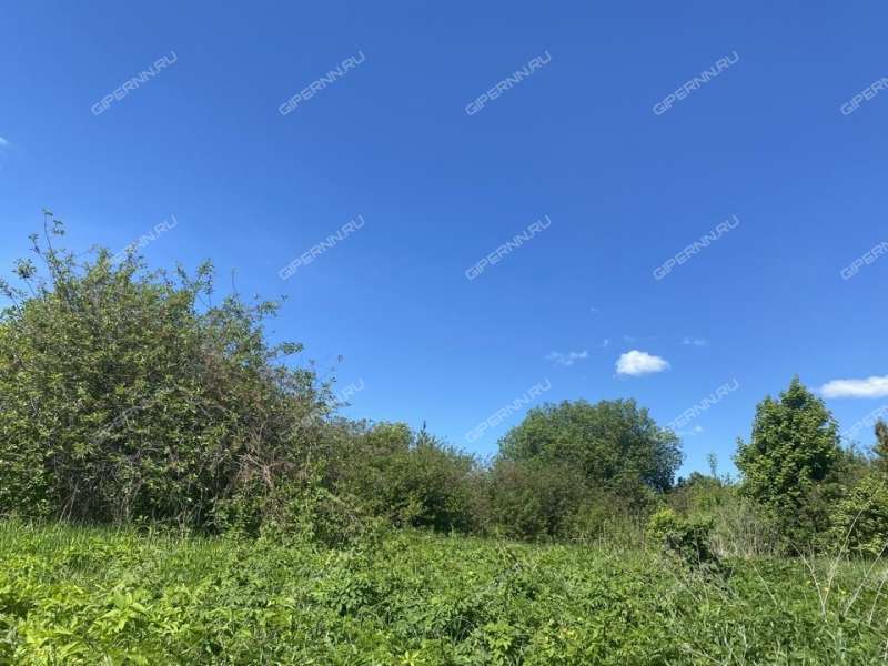 земельный участок 16 соток Дачная улица село Бармино