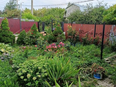 taunhaus-ul-akvarelnaya-d-2v фото