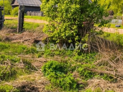 derevnya-apraksino-gorodskoy-okrug-bor фото