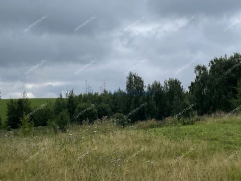 selo-arapovo-bogorodskiy-municipalnyy-okrug фото