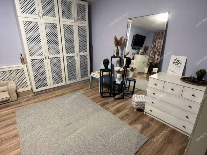 однокомнатная квартира на Агрономической улице дом 161