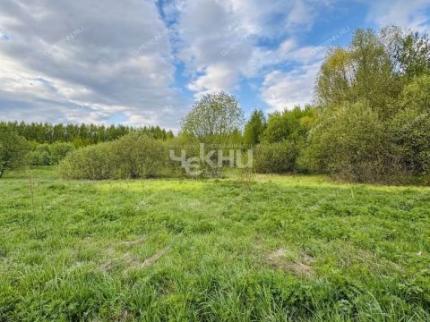 selo-dudenevo-bogorodskiy-municipalnyy-okrug фото