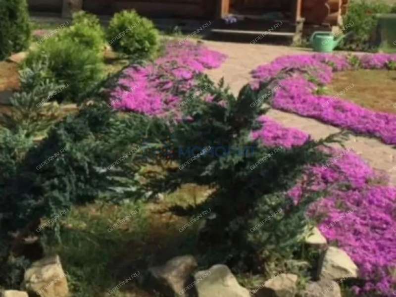 коттедж на - деревня Хаустово
