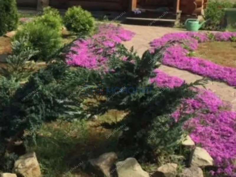 коттедж на - деревня Хаустово
