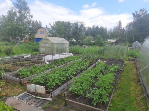 dom-gorod-balahna-balahninskiy-municipalnyy-okrug фото