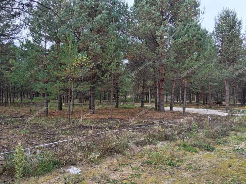 земельный участок 8 соток деревня Ивановское