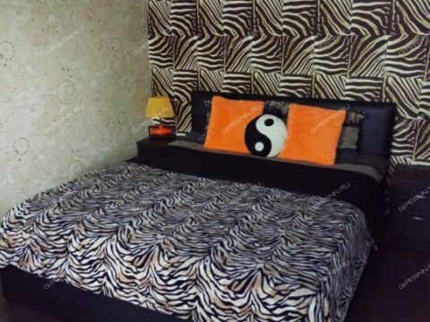 1-komnatnaya-ul-belinskogo-d-47 фото