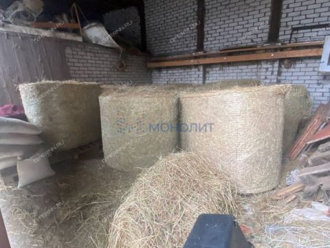 selo-bolshaya-elnya-kstovskiy-rayon фото