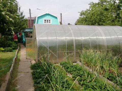 dacha-snt-n-5-priokskiy-bogorodskiy-municipalnyy-okrug фото