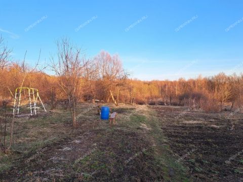 dom-derevnya-zaozere-bogorodskiy-municipalnyy-okrug фото