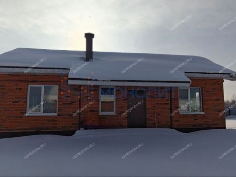 dom-derevnya-kalikino-gorodskoy-okrug-bor фото