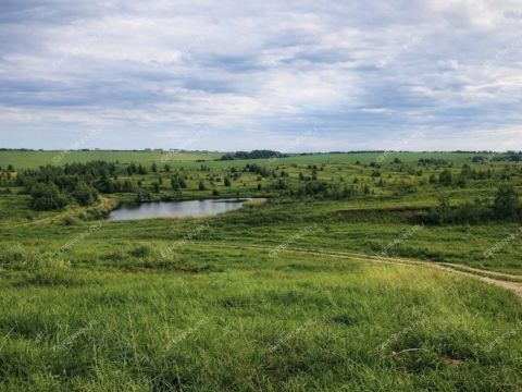 dom-selo-doskino-bogorodskiy-municipalnyy-okrug фото