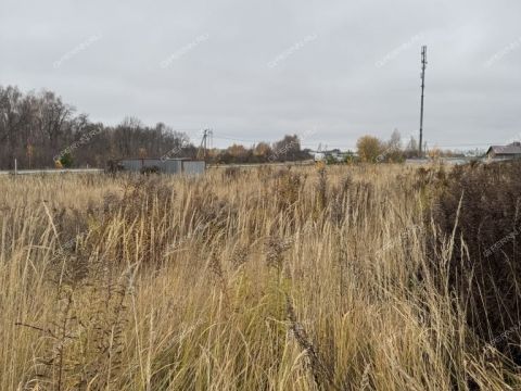 selo-efimevo-bogorodskiy-municipalnyy-okrug фото