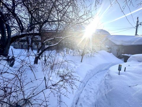 dom-ul-vali-kotika-d-56 фото