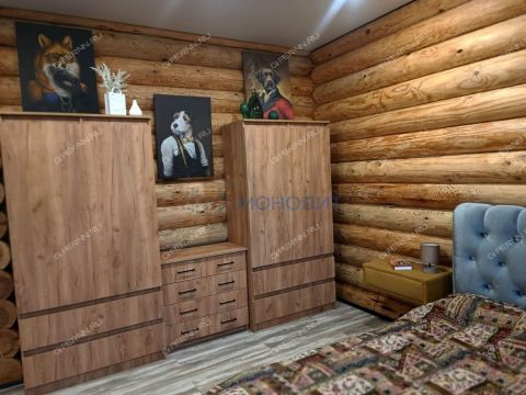 dom-derevnya-shumilovo-bogorodskiy-municipalnyy-okrug фото