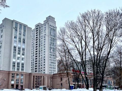 sh-moskovskoe-d-167-k1 фото