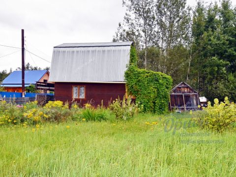 dacha-gorod-balahna-balahninskiy-municipalnyy-okrug фото