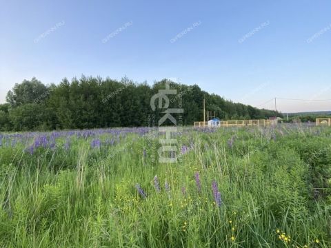 selo-dudenevo-bogorodskiy-municipalnyy-okrug фото