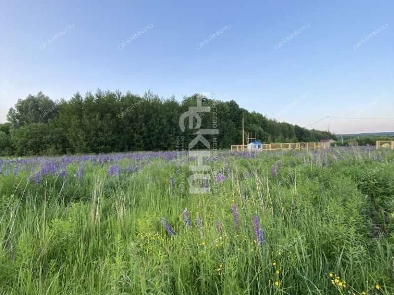 земельный участок 20 соток Семена Захарова село Дуденево