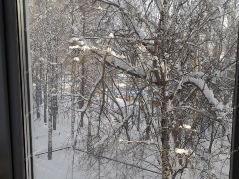 2-komnatnaya-ul-imeni-generala-ivlieva-d-34 фото