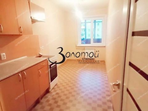 1-komnatnaya-ul-chelyuskincev-d-27 фото