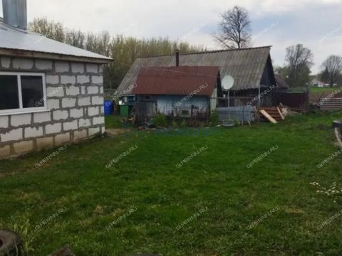 dom-selo-dubskoe-perevozskiy-gorodskoy-okrug фото