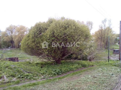 derevnya-shumilovo-bogorodskiy-municipalnyy-okrug фото