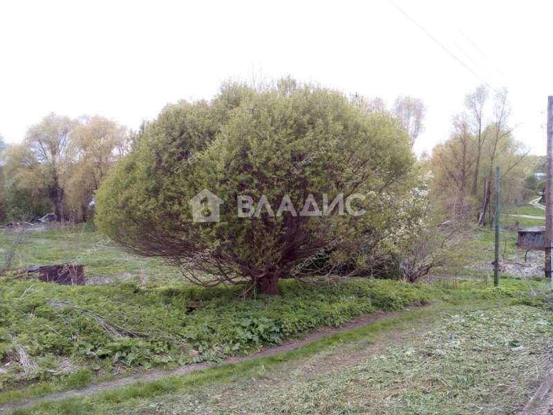 земельный участок 15 соток Нагорная улица деревня Шумилово