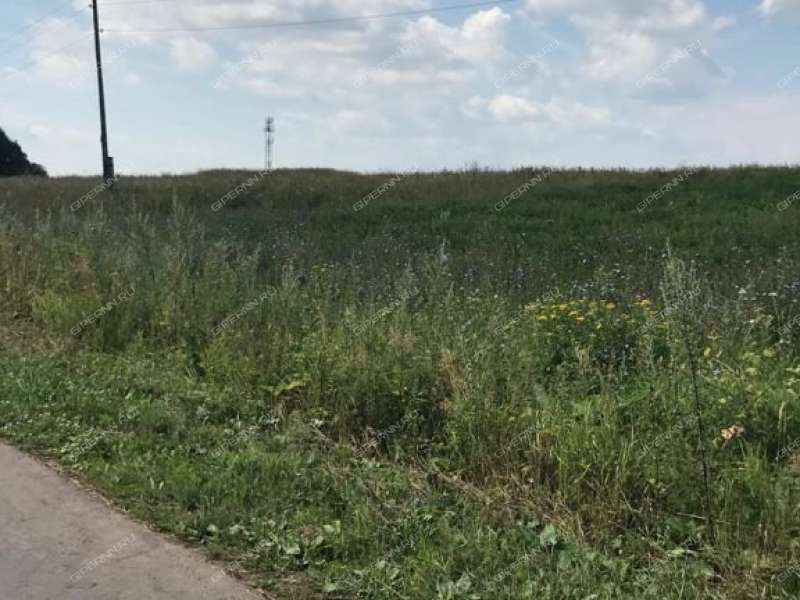 земельный участок 29,4 сотки село Алешково